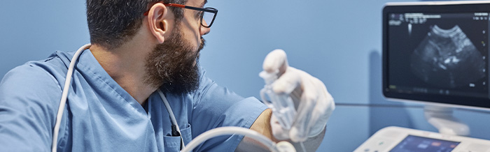 A veterinarian with a beard and glasses, seen in profile, carefully observes a monitor showing an ongoing ultrasound in a room with blue walls
