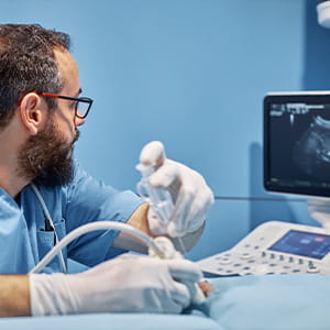 A veterinarian with a beard and glasses, seen in profile, observes an ultrasound monitor while using a probe with gloved hands in a room with blue walls