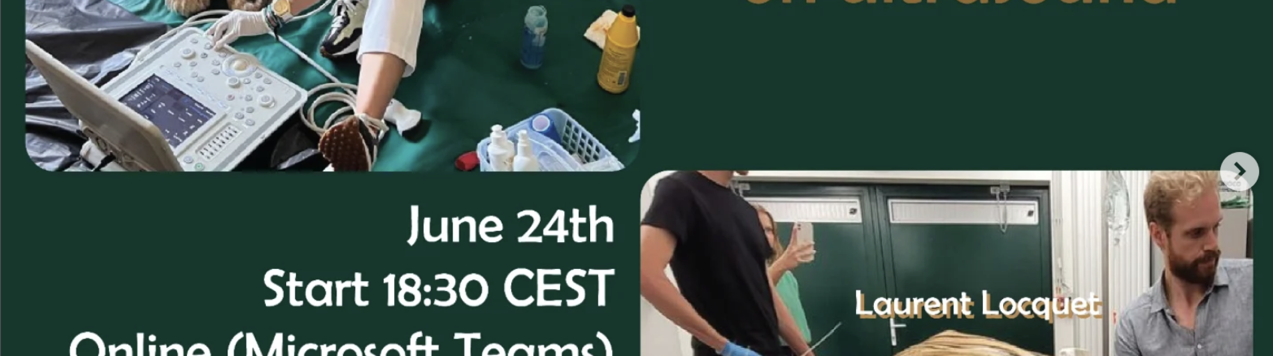 Exotics Under the Probe: Free Webinar on Ultrasound in Zoo and Exotic Species