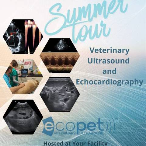 One-To-One Ultrasound & Echocardiography training